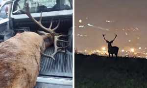 WhatsApp Image 2022 11 10 at 17.31.441