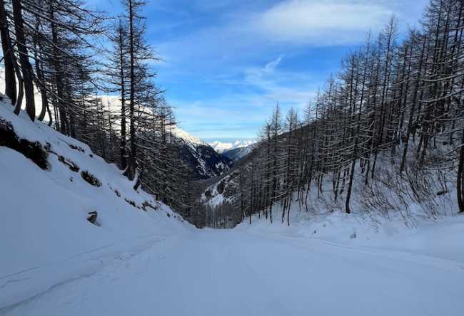 WhatsApp Image 2022 12 16 at 15.36.20 2