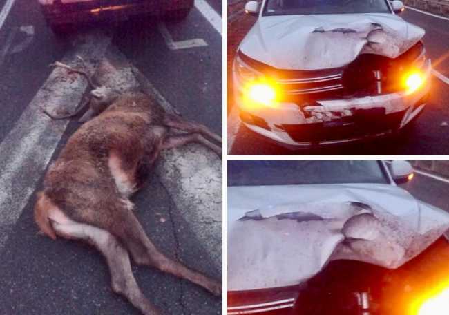 WhatsApp Image 2023 01 13 at 09.47.05