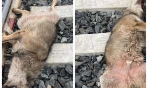 WhatsApp Image 2023 03 01 at 08.49.58