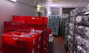 WhatsApp Image 2023 03 01 at 16.02.39