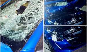 WhatsApp Image 2023 03 21 at 13.33.561