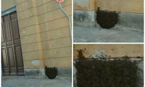 WhatsApp Image 2023 05 02 at 16.12.31