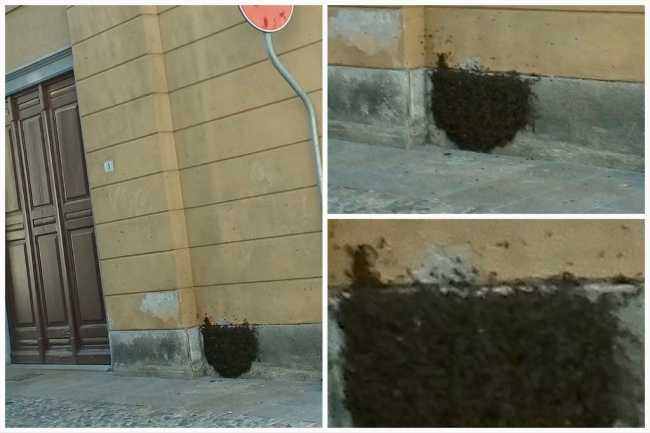 WhatsApp Image 2023 05 02 at 16.12.31