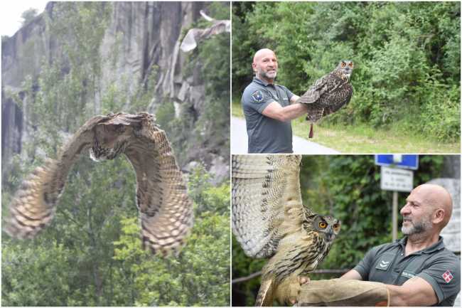 WhatsApp Image 2023 05 30 at 08.50.121