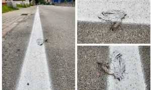 WhatsApp Image 2023 06 09 at 09.42.451