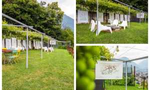 WhatsApp Image 2023 07 12 at 09.29.261