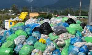 WhatsApp Image 2023 08 03 at 16.20.081