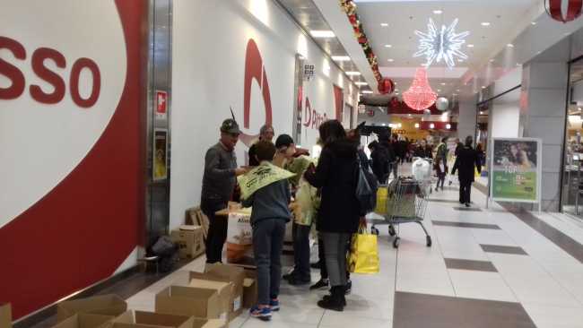 WhatsApp Image 2023 11 17 at 01.25.59