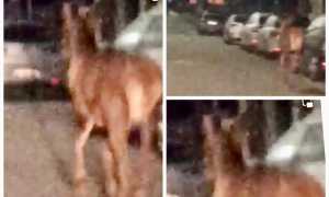 WhatsApp Image 2023 11 21 at 10.32.47