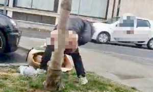 WhatsApp Image 2024 02 26 at 15.24.17