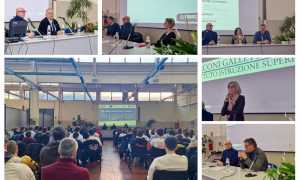 WhatsApp Image 2024 03 13 at 16.26.45