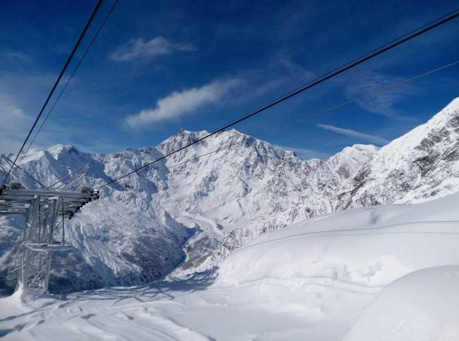 WhatsApp Image 2024 03 20 at 11.47.38 AM