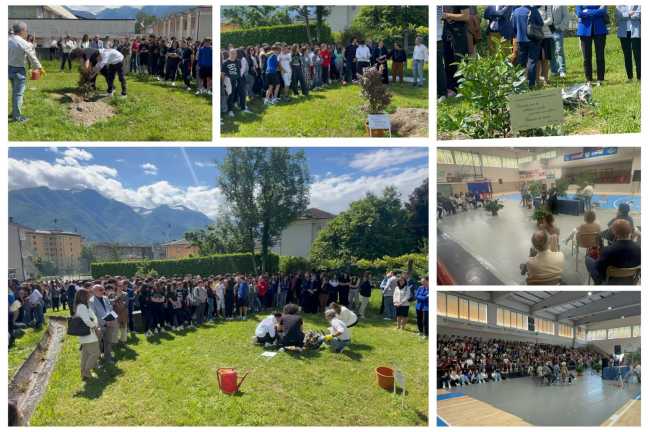 WhatsApp Image 2024 06 04 at 11.41.501