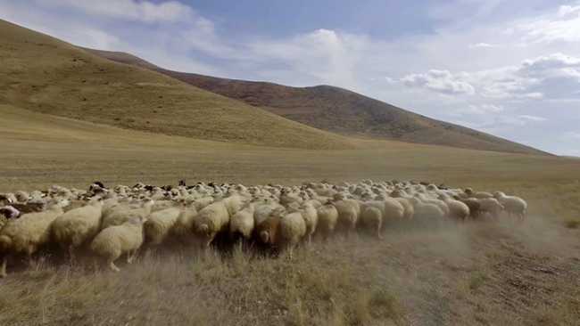 WhatsApp Image 2024 08 29 at 12.13.08