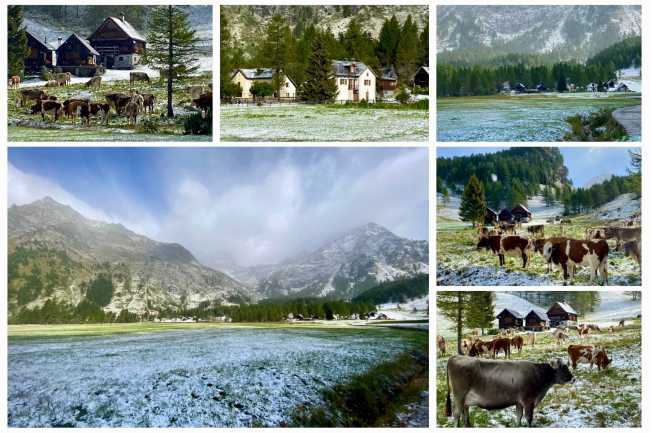 WhatsApp Image 2024 09 13 at 11.17.53