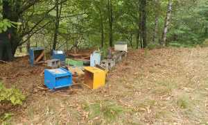 WhatsApp Image 2024 09 17 at 08.21.06