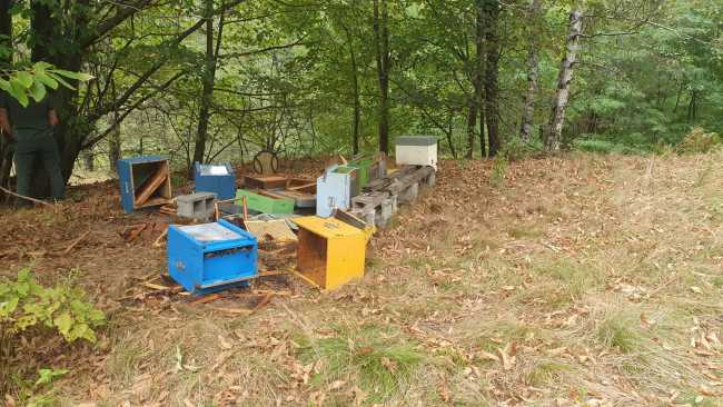 WhatsApp Image 2024 09 17 at 08.21.06