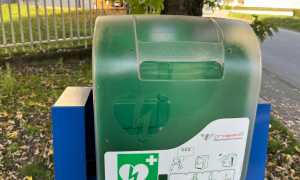 WhatsApp Image 2024 11 09 at 13.33.20