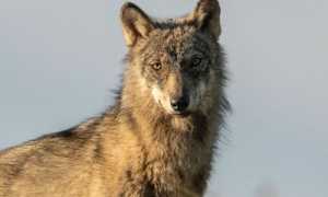  srcc71ef471d4a379e75f998fea75389f0a pare37e84762fdde8d8d01973b4ef204bdf dat1654689923