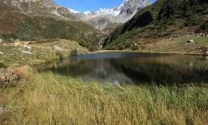 a8a713b388f4c9a3a464d502ddd831a2