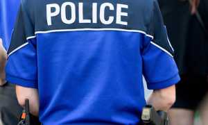 aaa2 image illustration police vs generique011 768x513