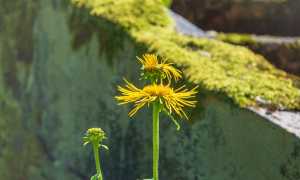 abstract 4471062 640