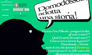adotta storia