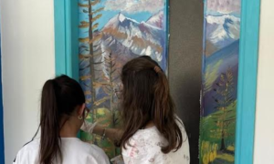 adotta una porta istituto bagnolini villadossola