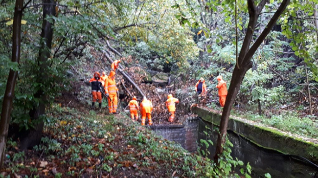 aib domo rio valsorda foglie