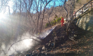 aib incendio bosco strada