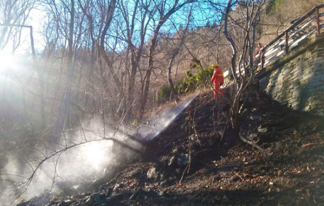 aib incendio bosco strada