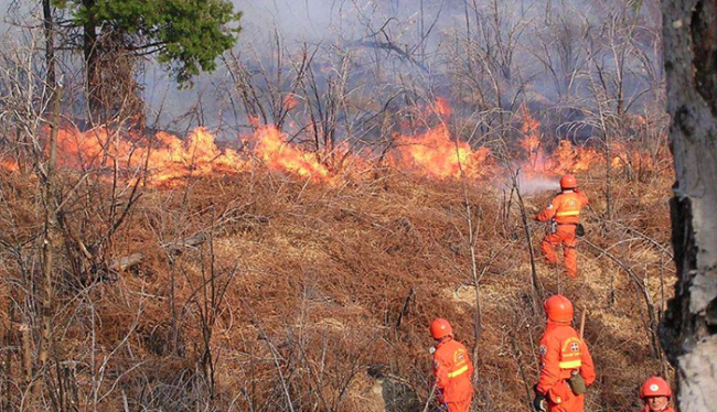 aib incendio sterpaglie a