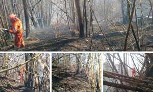 aib mix biella incendio bosco