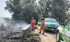 aib piemonte intervento calabria