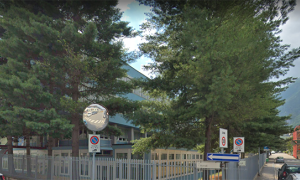 alberi marconi hgalleti giu 19