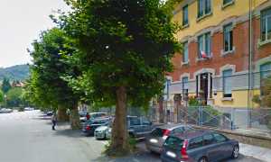 alberi via rosmini scuole milani copia