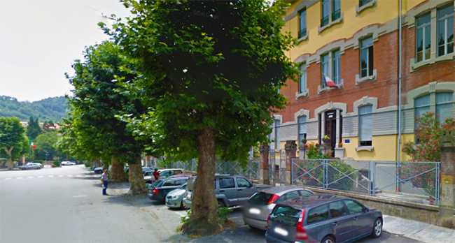 alberi via rosmini scuole milani copia