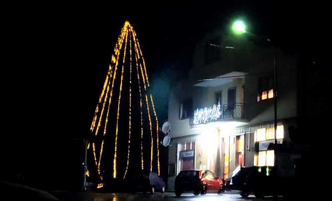 albero di natale a san pietro ok