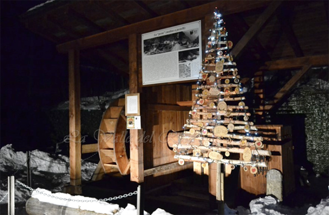 albero pesta macugnaga