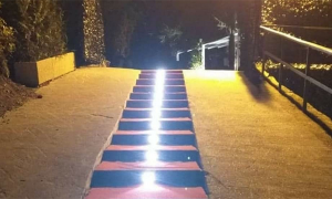 alice disco ingresso