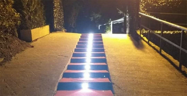 alice disco ingresso