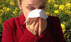 allergia raffreddore