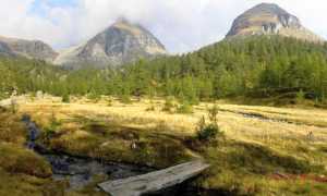 alpe veglia images common thumb medium650 0