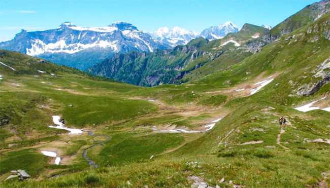 alpeggi premia agaro