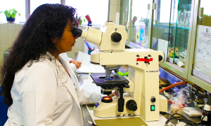 analisi microscopio infermiere