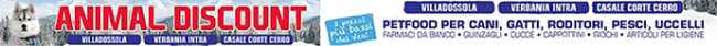 animal discount articoli