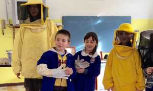 api bambini milani velli