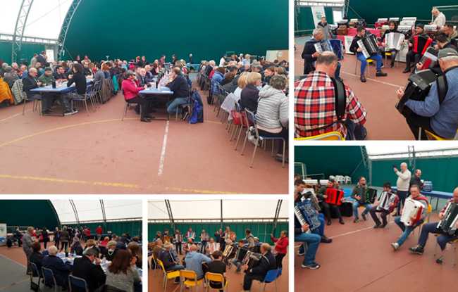 arno fisarmoniche 19