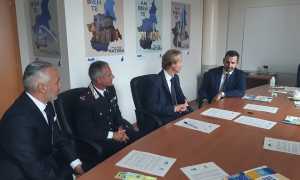 arpa forestali marnati